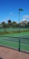 Picture of Heron Tennis